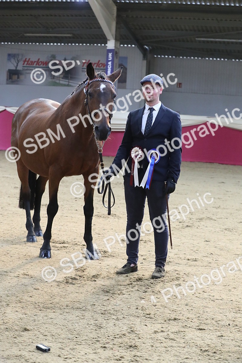 SBM_00321 - Class 1a - Area IH Diamond