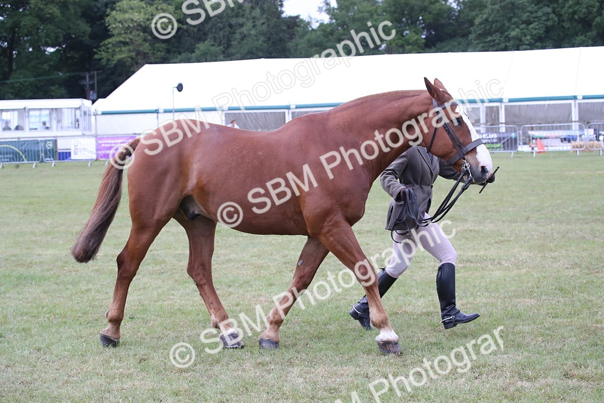 SBM_11277 - Class 92-93 - LIHS BSHA Rising Star Cobs