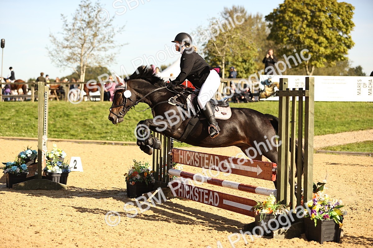 SBM_35171 - J38 - Senior 80cm Championship