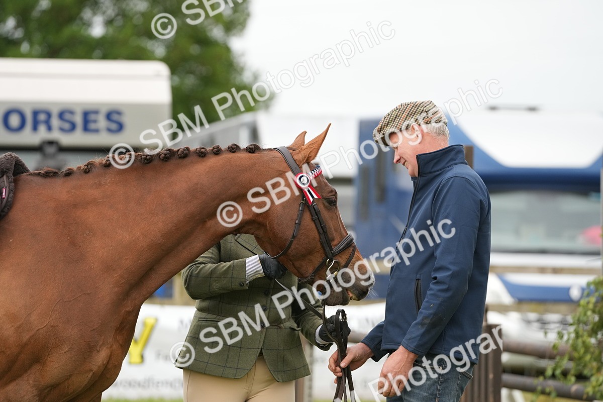 SBM_10640 - Class 97-98 - LIHS BSHA Rising Star Working Show Horse Hunter