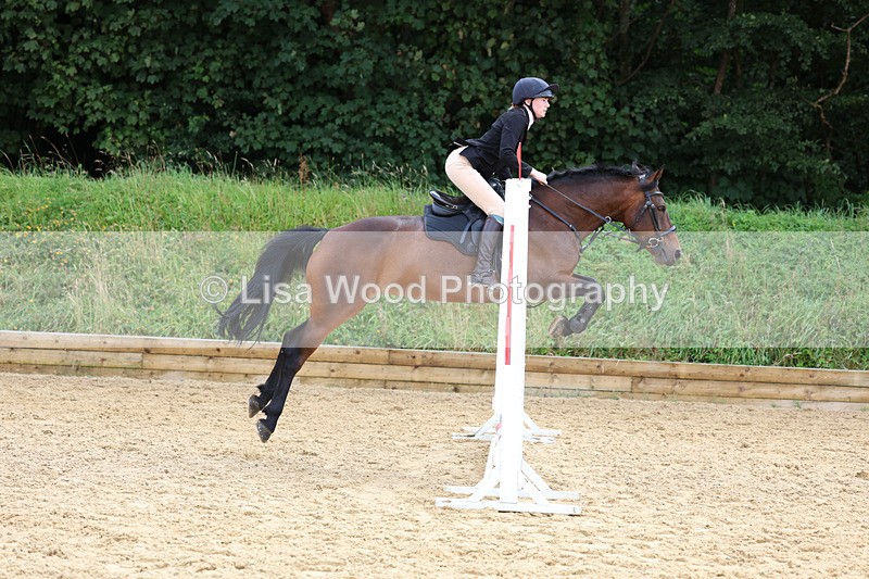 3E7A0048 - Class 9: Senior British Novice/90cm open
