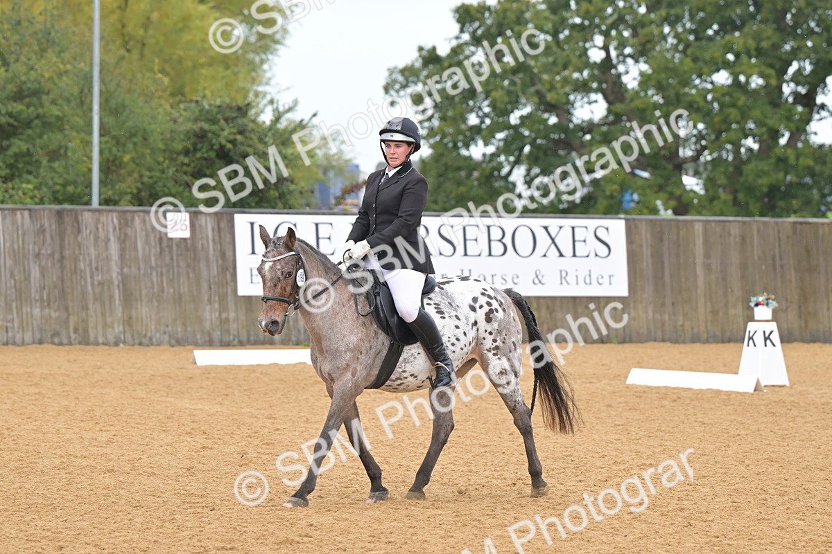 SBM_00500 - D2 - Small Tour Championship Intro 2