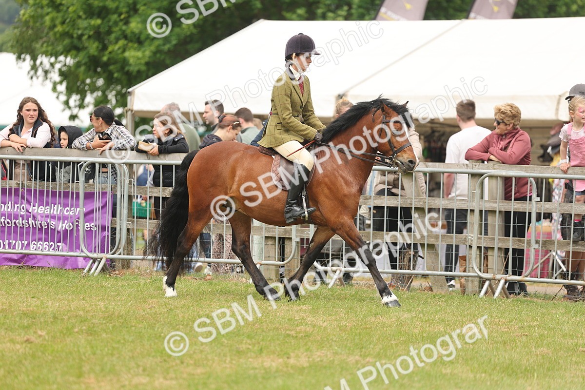 SBM_07162 - Class 76-77 - Ridden M&M Welsh Ponies