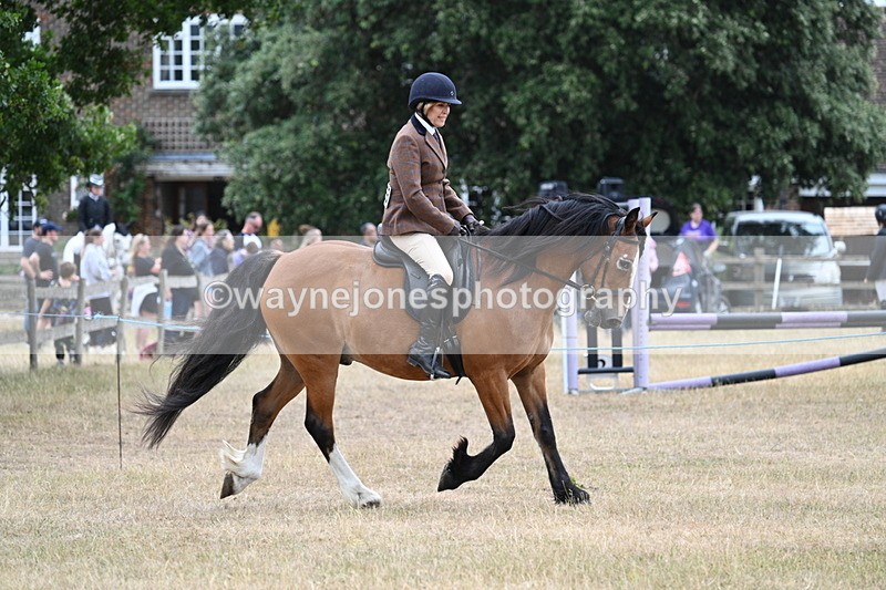WJ7_0518 - Class 6 Ridden Mountain and Moorland