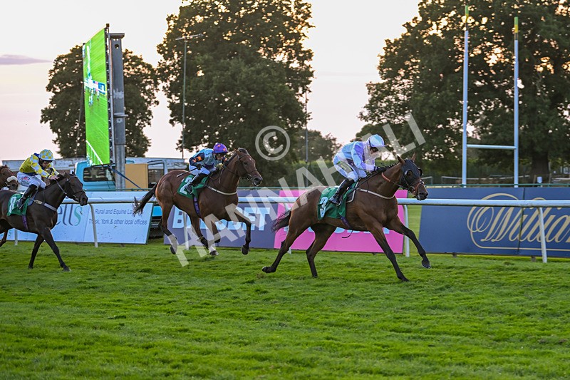 160824-Race 7-Utilis-9947 - Race 7