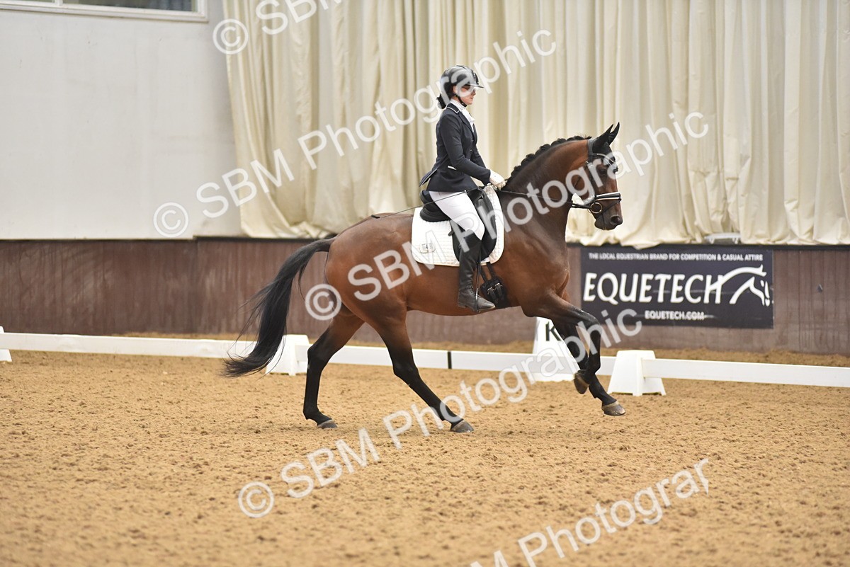SBM_010992 - Class 8 - Novice 5