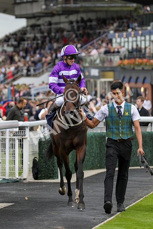 250824-Race 2-Ludos Landing-9330 - Race 2