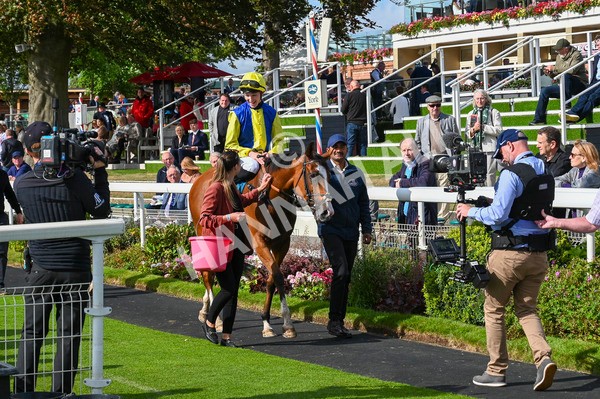 230824-Race 5-Canoodled-9279 - Race 5 4.10pm Assured Data Protection EBF Fillies' Handicap