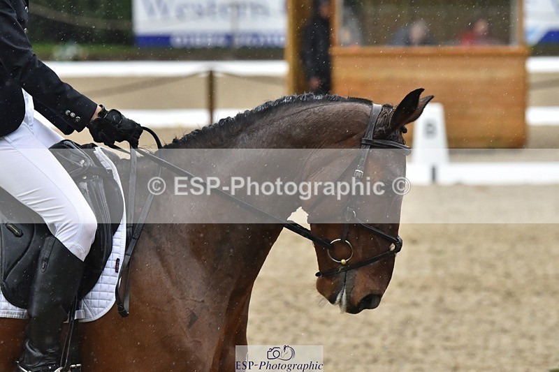 231018-152644-00781 - 010-ERASMUS.BRUMBLE-April.Masters-DR