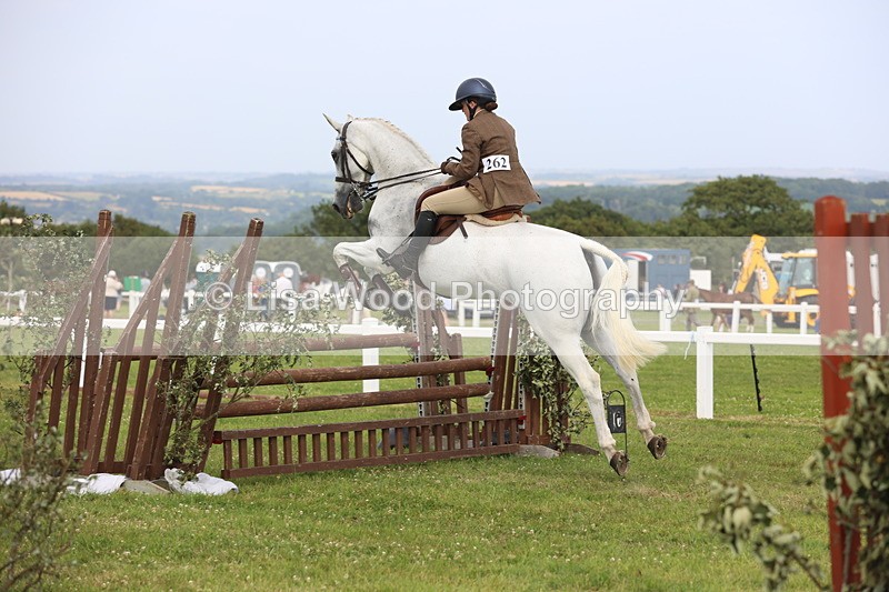 JPP_4171 - Class 25: Working Show Horse