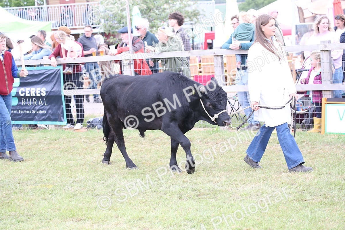 SBM_07851 - Grand Parade