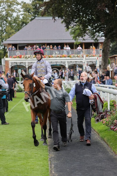 yr20082021r3-37 - Race 3 3.00pm Al Basti Equiworld Dubai Gimcrack Stakes