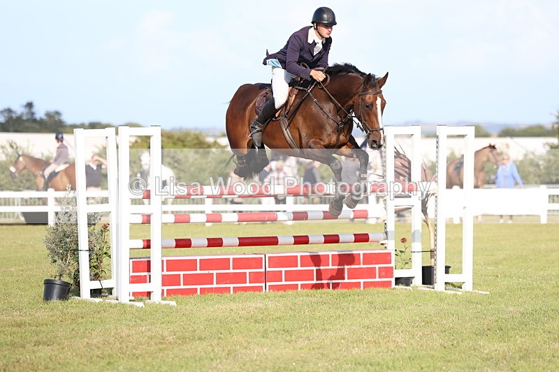 3E7A4426 - Class C: Showjumping Senior Foxhunter