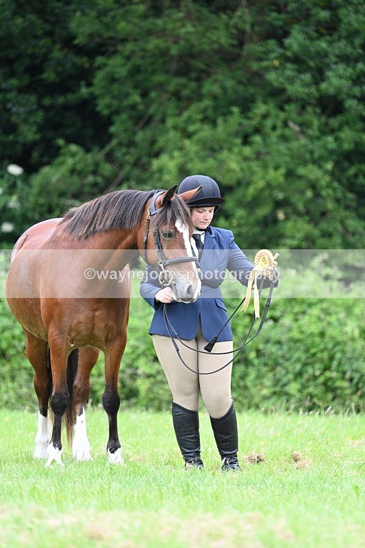 WJ7_4548 - Class 14B Prettiest Mare