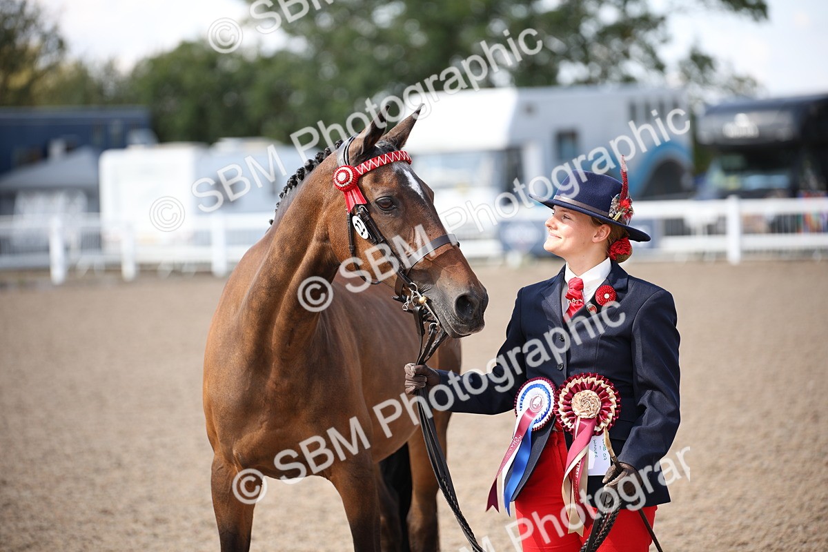 SBM_03070 - Class 17 Prettiest Mare IH or Ridden