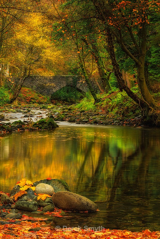 Autumn At Ivy Bridge - Co. Down