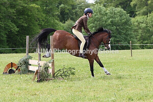 IMG_2900 - Working Hunter