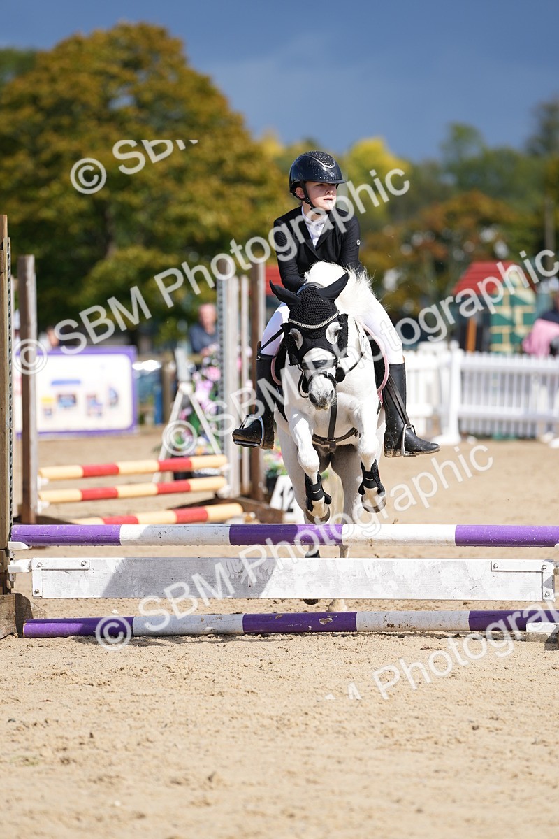 SBM_19769 - J49 - Open 50cm