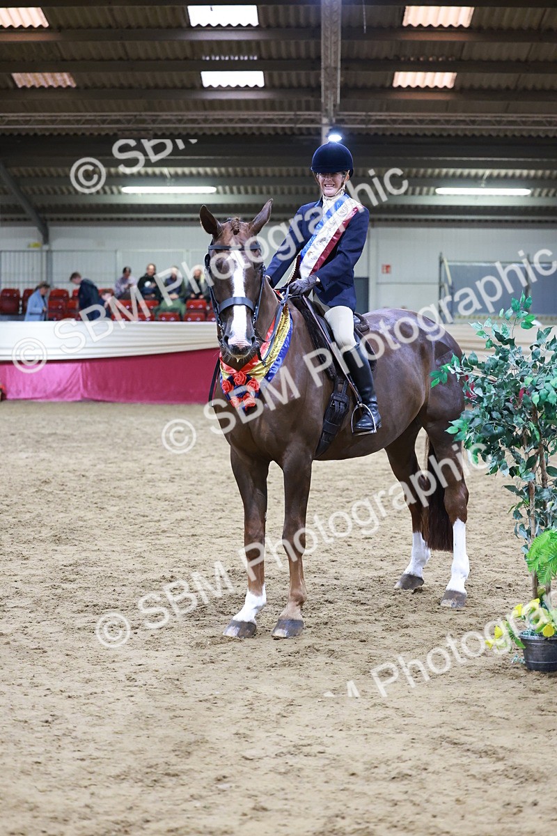 SBM_20715 - Class J - Foreign Breeds Champ