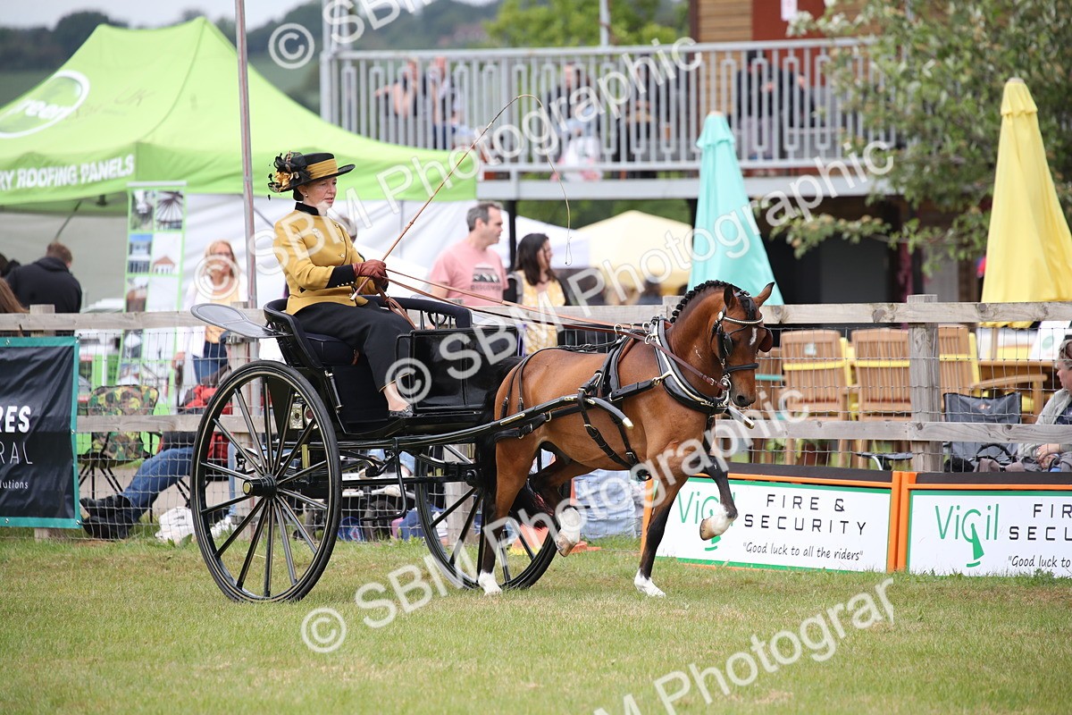 SBM_05907 - Class 12-15 - HOYS Private Driving