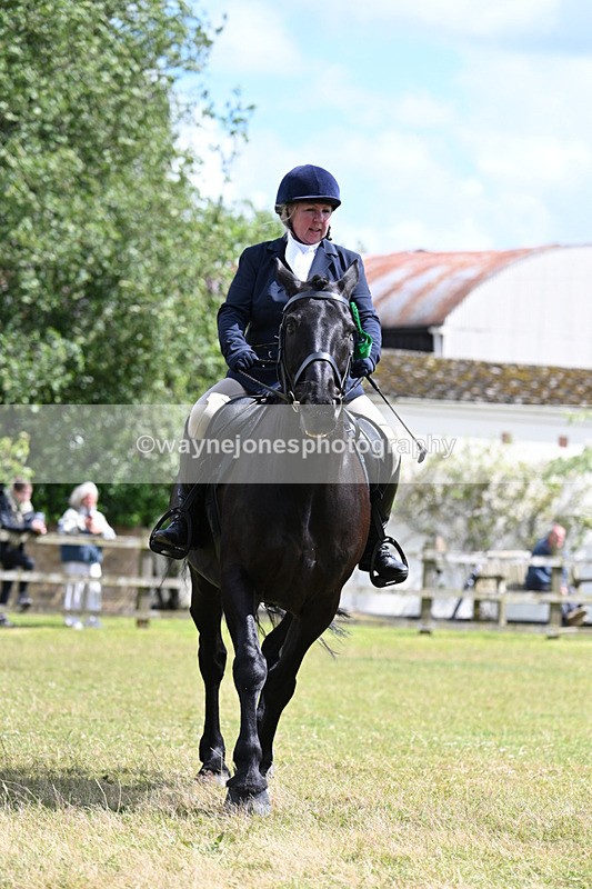 WJ7_0056 - Class 8 Ridden Veterans