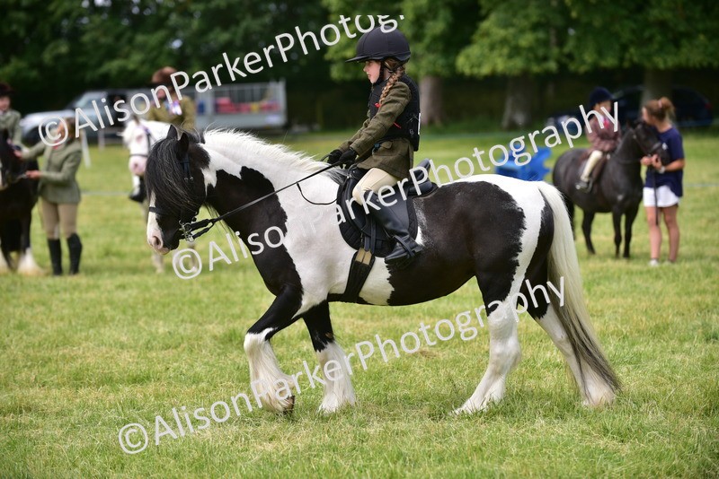 20260614-3663 - Class 15 - Prettiest Mare