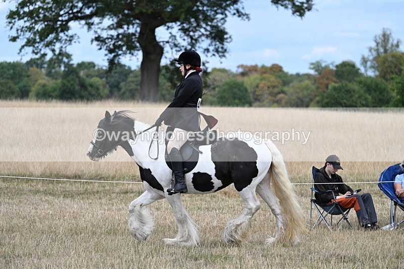 WJ7_4465 - Class 11 Family Mount