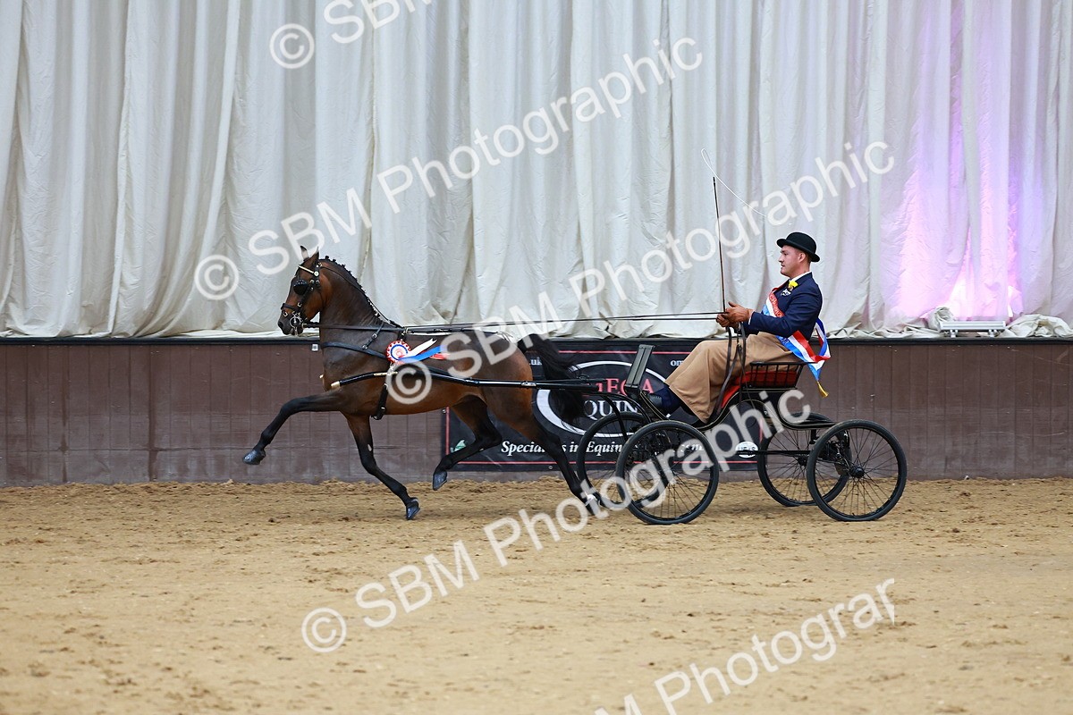 SBM_000676 - Class 9 - HHS Championship Intl Hackney Pony to a Showwagon