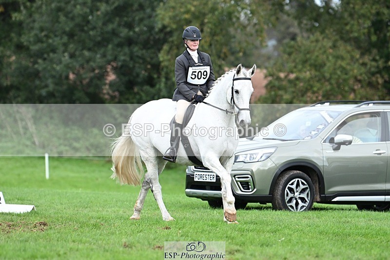 231020-155420-11313 - 509-WOODLANDS.SILVER.CLOUD-Karen.Cowling-DR