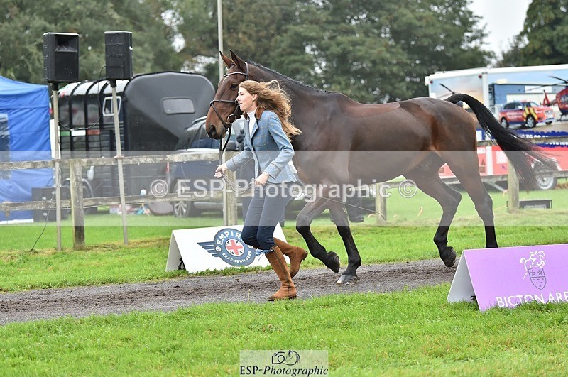 231018-124042-00443 - 052-SHANNONDALE.COURAGE-Georgina.Beeby.Wynn-TrotUp