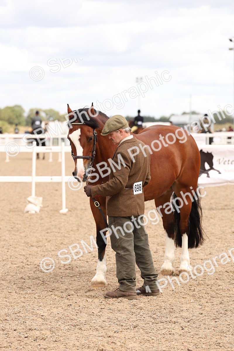 SBM_14685 - Class 208 - IH Veteran Horse