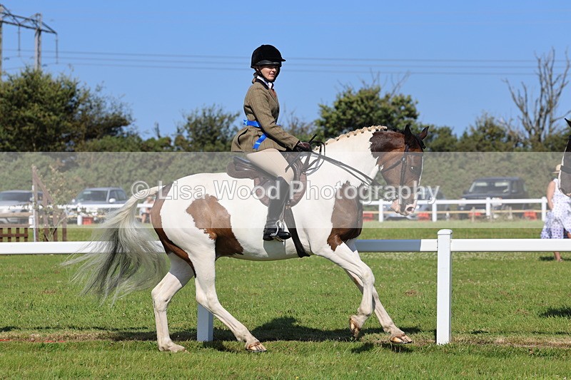 IMG_1633 - Skewbald and Piebald Ridden Championship