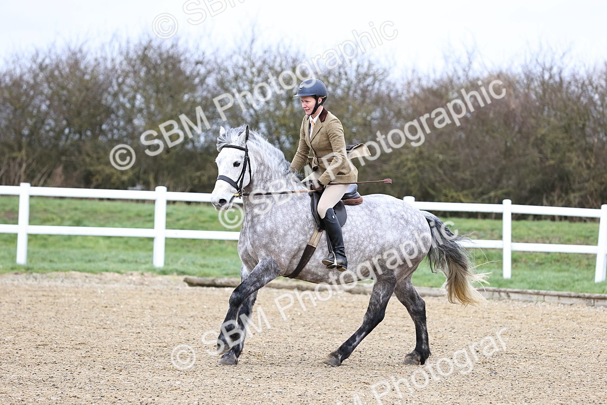 SBM_006945 - Class 29 - 30 - M&M Pure Novice Small-Large Breeds