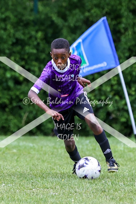 1DX31081 - Brook Field V Goddard Park