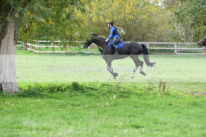 WJ5_9798 - Time 13:03 to 13:25