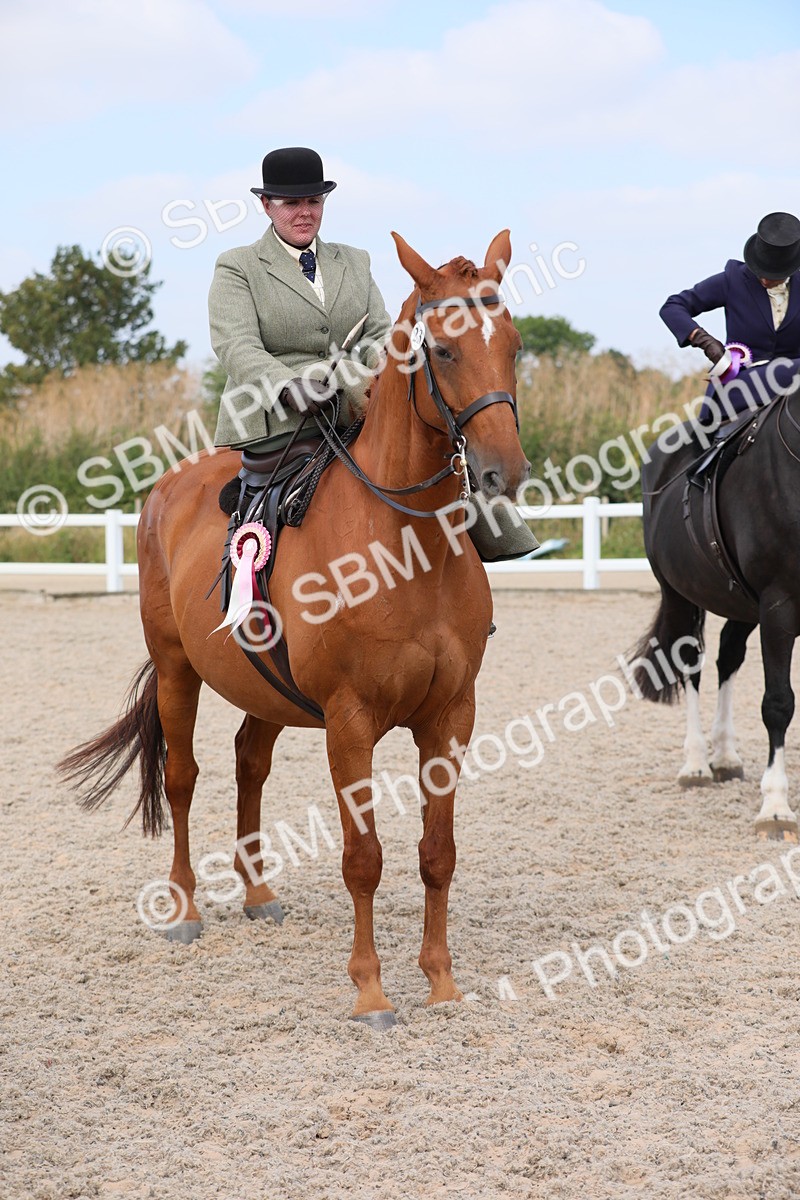 SBM_14623 - Class 211 Best Side Saddle Horse/Pony