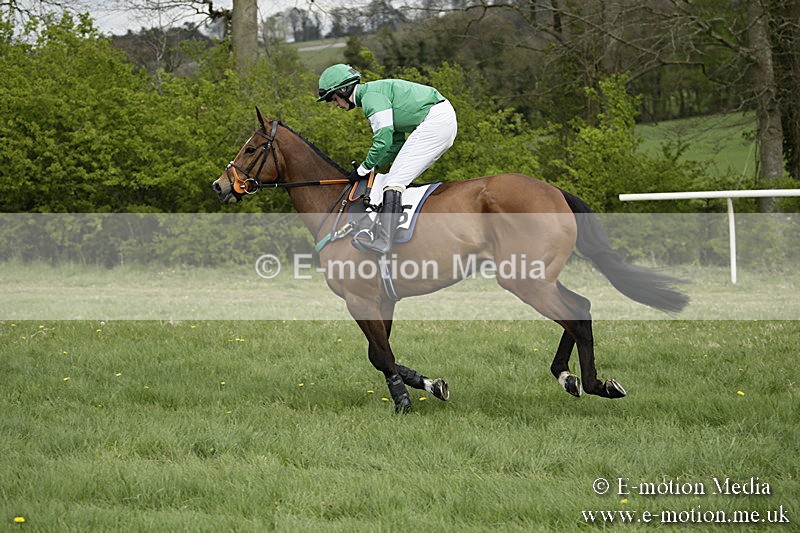 PtP 170417 143 - Old Berks Point-to-Point Lockinge 17/04/17