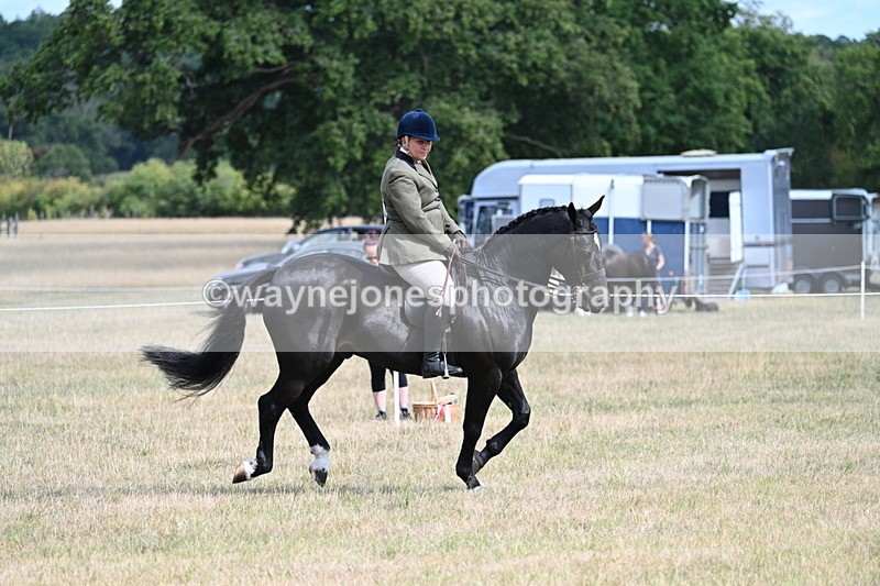 WJ7_6179 - Class 13 Ridden Veterans