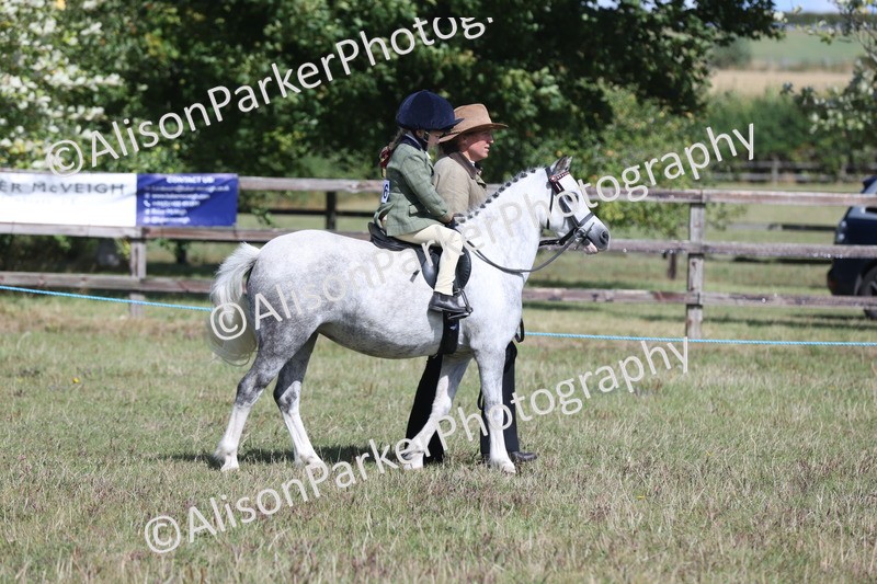 20250831-2645 - Class 17 - Lead Rein Pony
