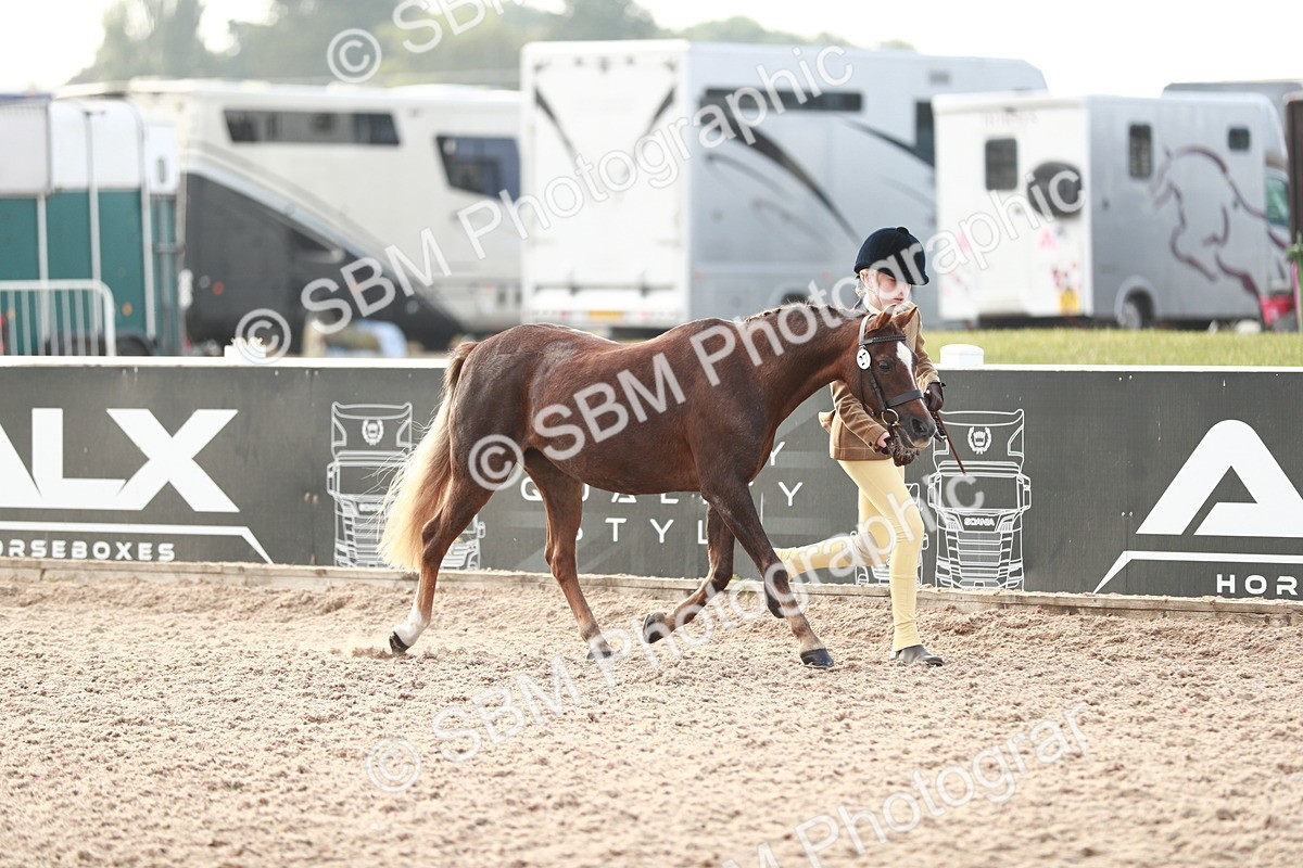 SBM_10504 - Class 204 Young Handler, 11-16 years