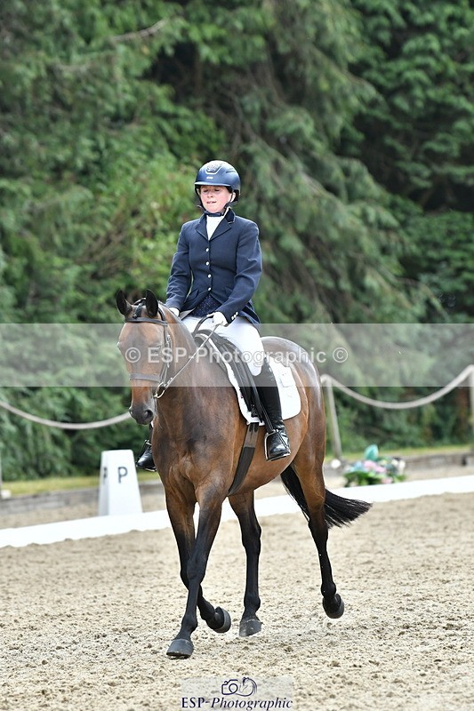 260801A-124933-04066 - Prelim Bronze Break - End