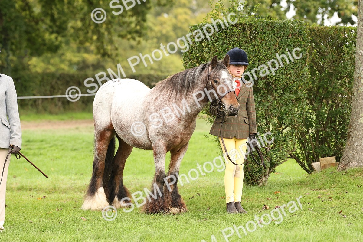 SBM_59335 - S57 - Traditional Cob In Hand