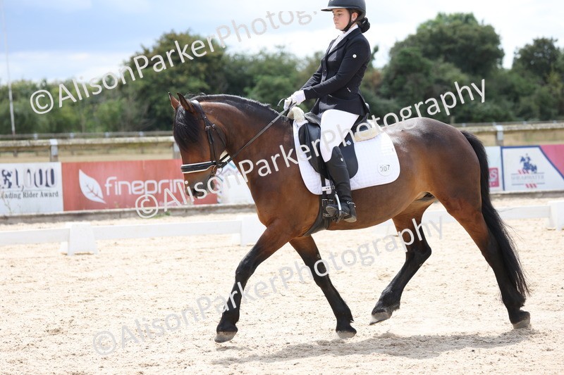 20250706-0462 - Class 17 - Elementary 5