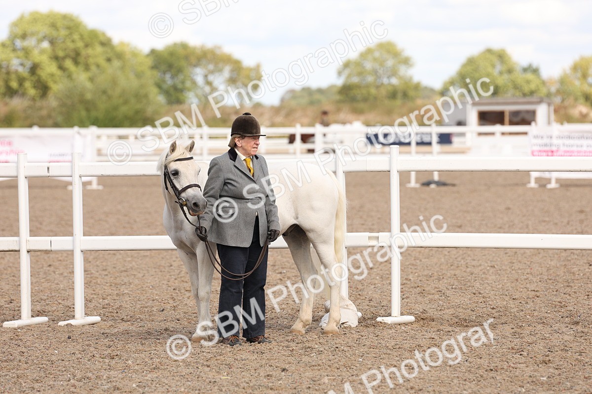 SBM_15030 - Class 209 - IH Veteran Pony