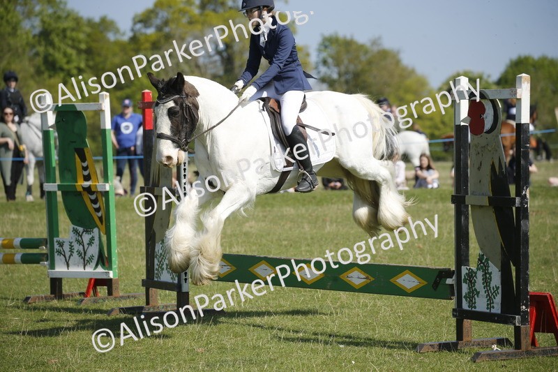 20250427-2007 - Class 13 - Novice Jumping 60cm