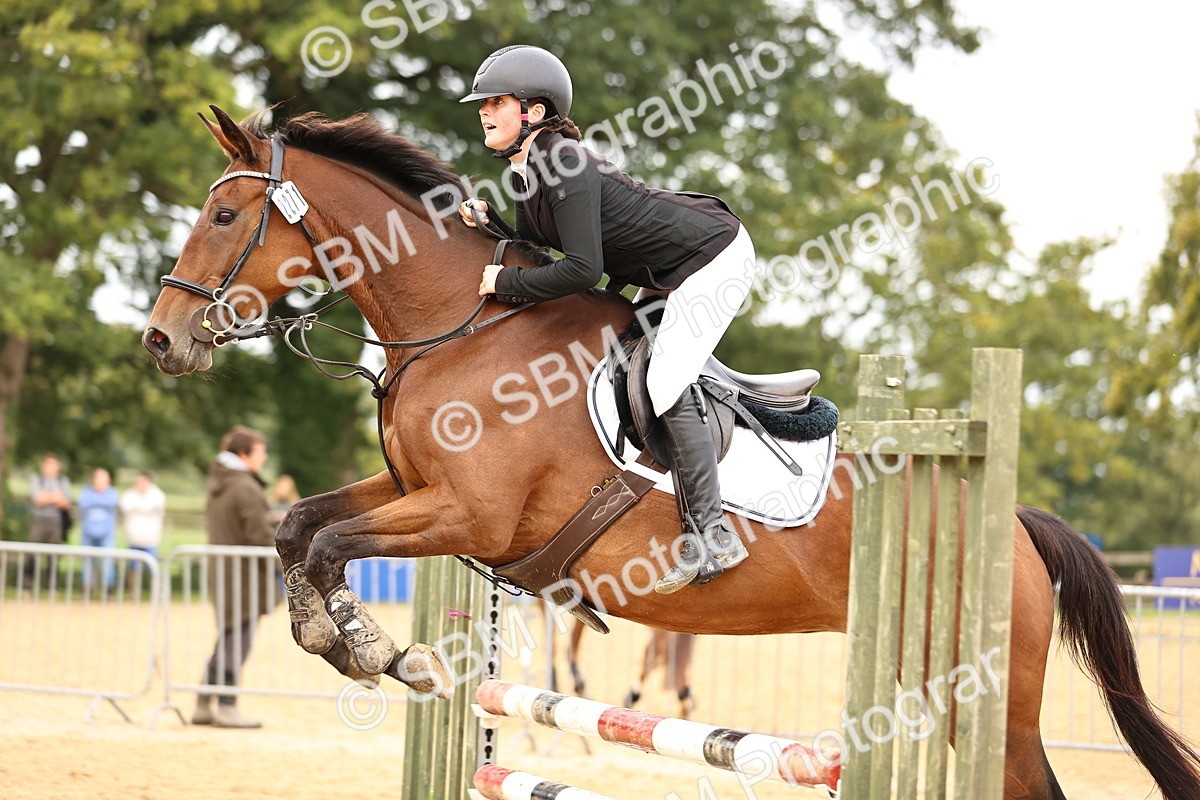 SBM_58324 - J41 - Grand Tour Horse & Pony 95cm