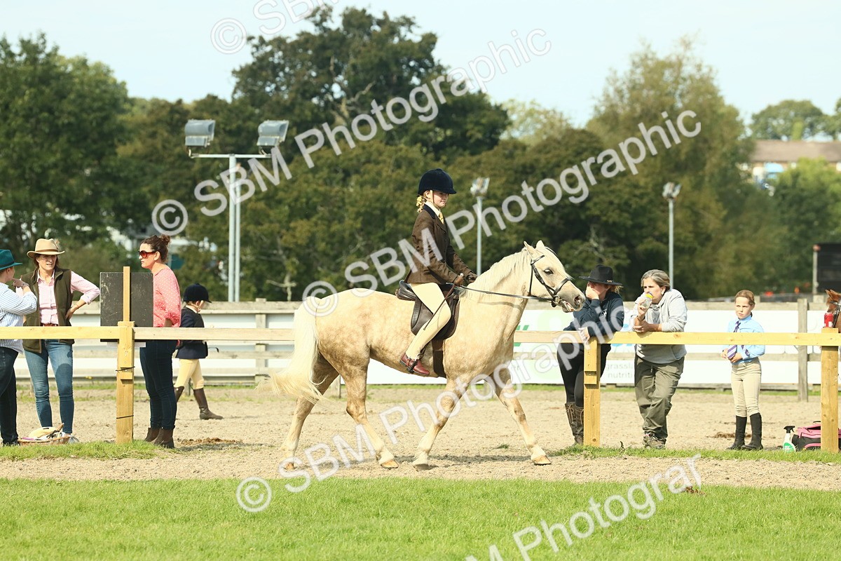 SBM_68830 - S58 - Mini Show Cob Ridden