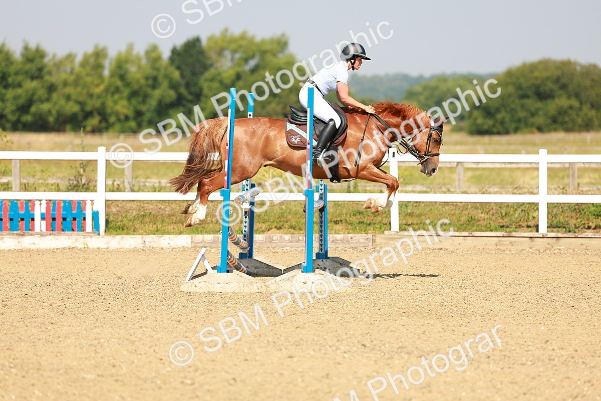 SBM_000043 - Class 2 - Senior British Novice - 90cm