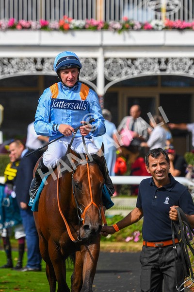 100923-Race 1-The Coffee Pod-0419 - Race 1 1.40pm Ire Incentive, It Pays To Buy Irish EBF Novice Stakes