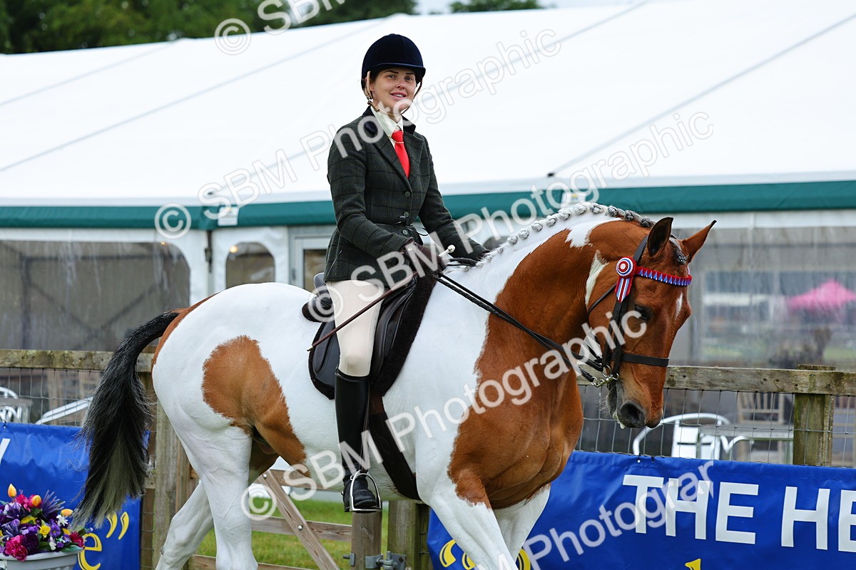 SBM_02457 - Class 9-11 Side Saddle including LIHS Rising Star Ladies Show Horse